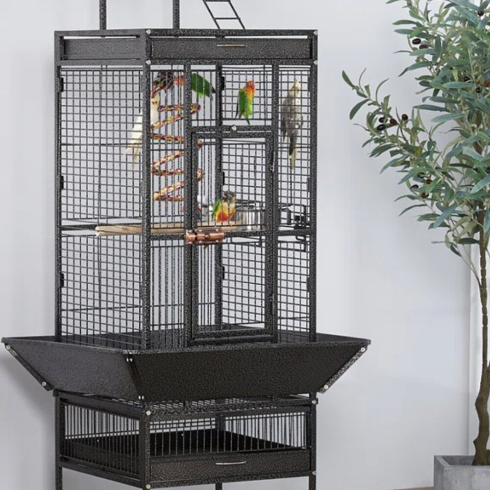 Bird cage ideal for cockatiel